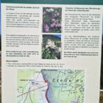 Infotafel beim Creux du Van